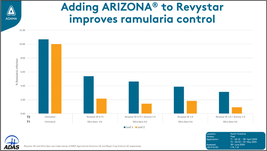 Arizona to Revystar Graph