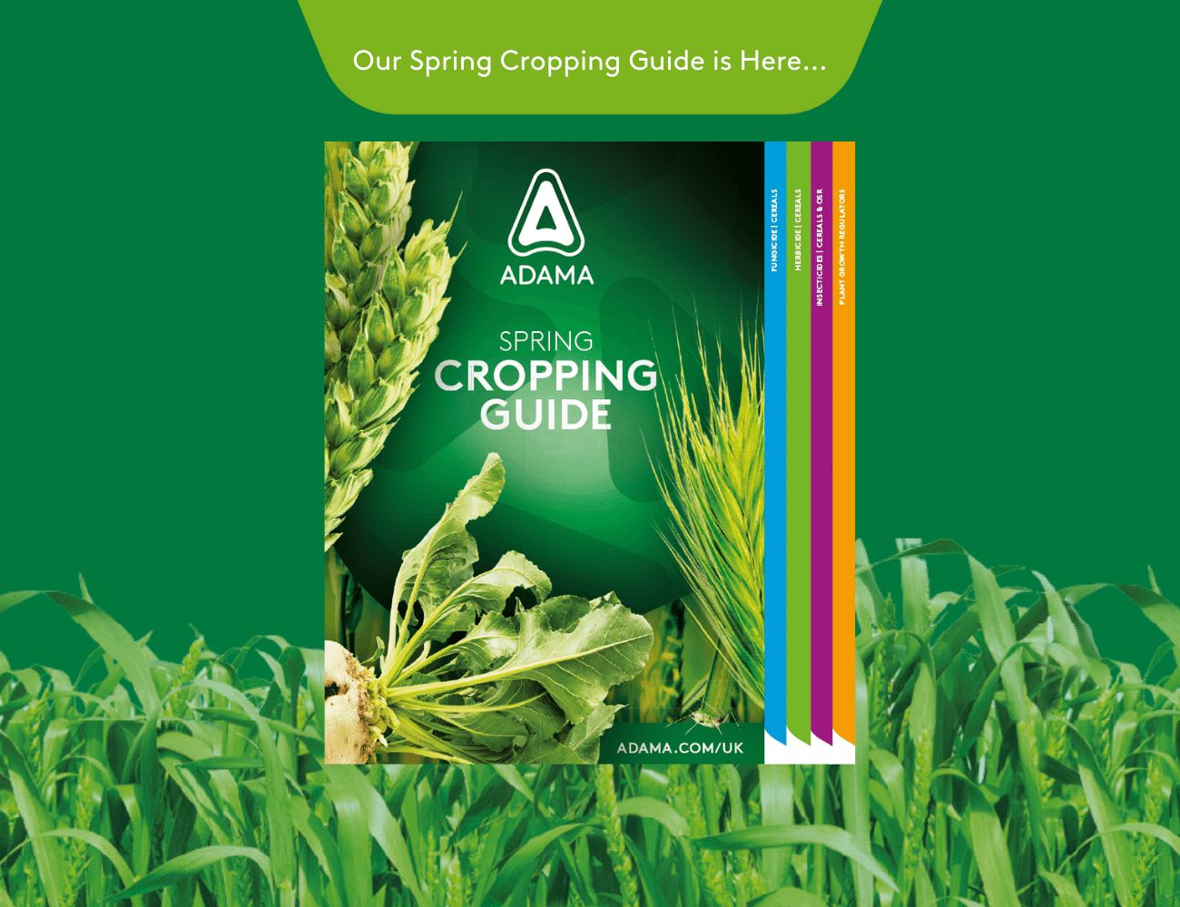Spring Cropping Guide